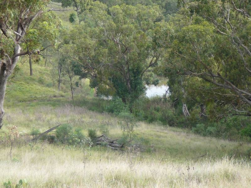 Rouchel Gap Road, Mccullys Gap NSW 2333
