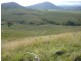 Rouchel Gap Road, Mccullys Gap NSW 2333