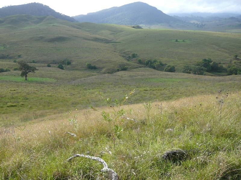 Rouchel Gap Road, Mccullys Gap NSW 2333