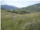 Rouchel Gap Road, Mccullys Gap NSW 2333