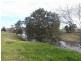 1828 Denman Road, Muswellbrook NSW 2333