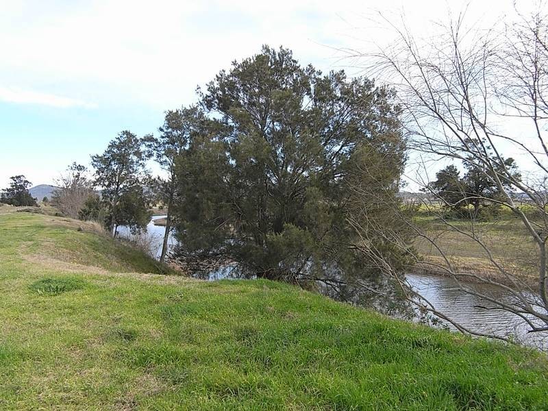 1828 Denman Road, Muswellbrook NSW 2333