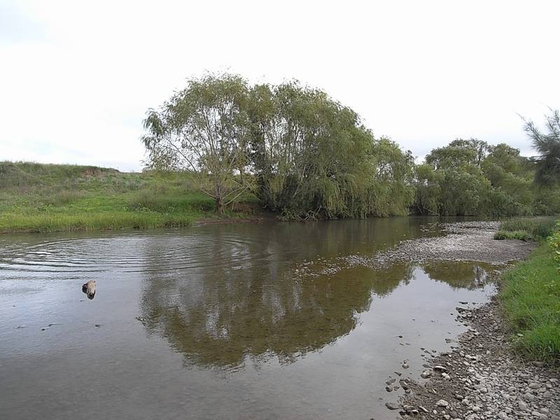 1828 Denman Road, Muswellbrook NSW 2333