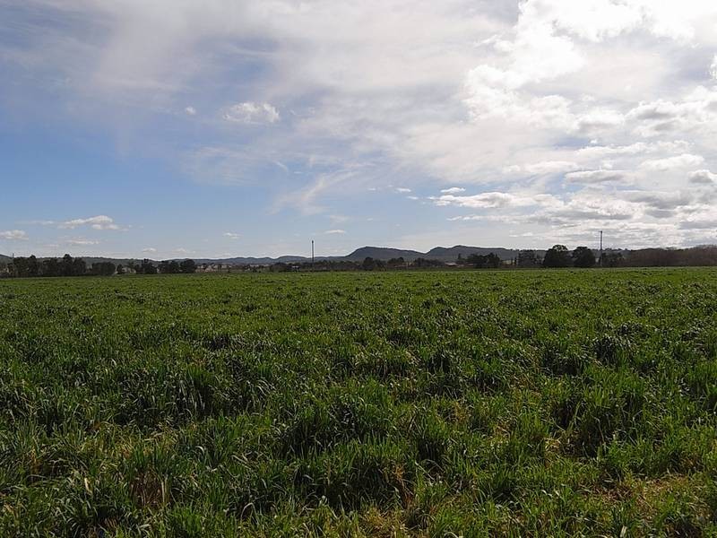 1828 Denman Road, Muswellbrook NSW 2333