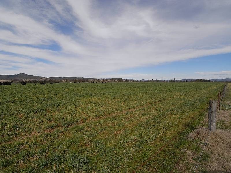 1828 Denman Road, Muswellbrook NSW 2333