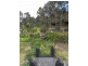 1420 Castlerock Road, Muswellbrook NSW 2333