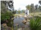 1420 Castlerock Road, Muswellbrook NSW 2333