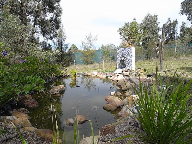 1420 Castlerock Road, Muswellbrook NSW 2333