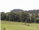 1420 Castlerock Road, Muswellbrook NSW 2333