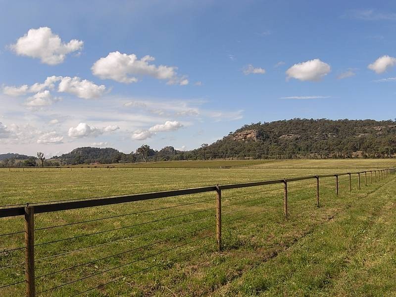 310 Rosemount Road, Denman NSW 2328