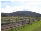310 Rosemount Road, Denman NSW 2328