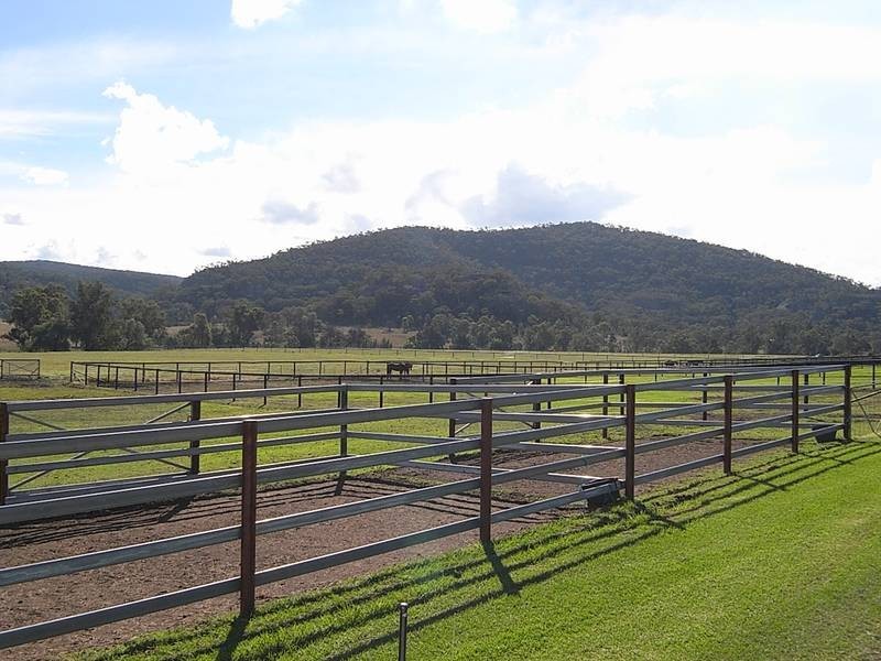 310 Rosemount Road, Denman NSW 2328