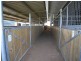 310 Rosemount Road, Denman NSW 2328