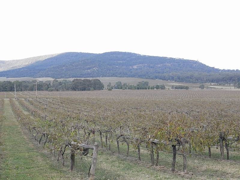 Sandy Hollow NSW 2333