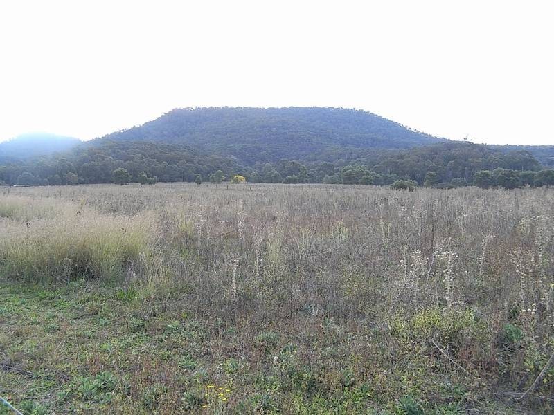 Sandy Hollow NSW 2333