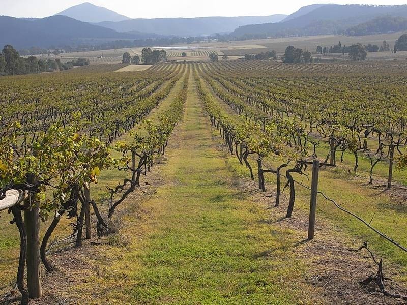 Sandy Hollow NSW 2333