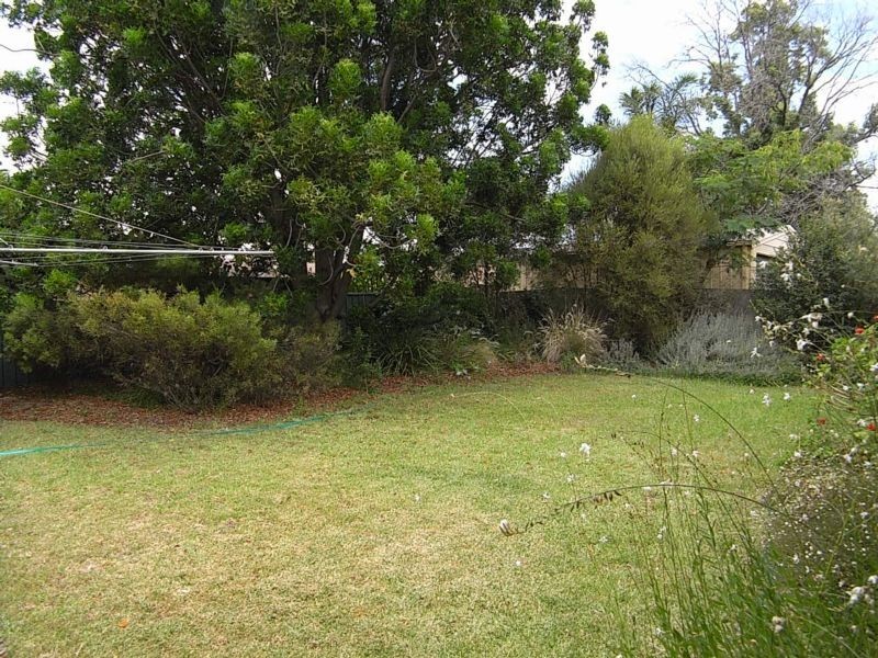 25 Barrington Street, Muswellbrook NSW 2333