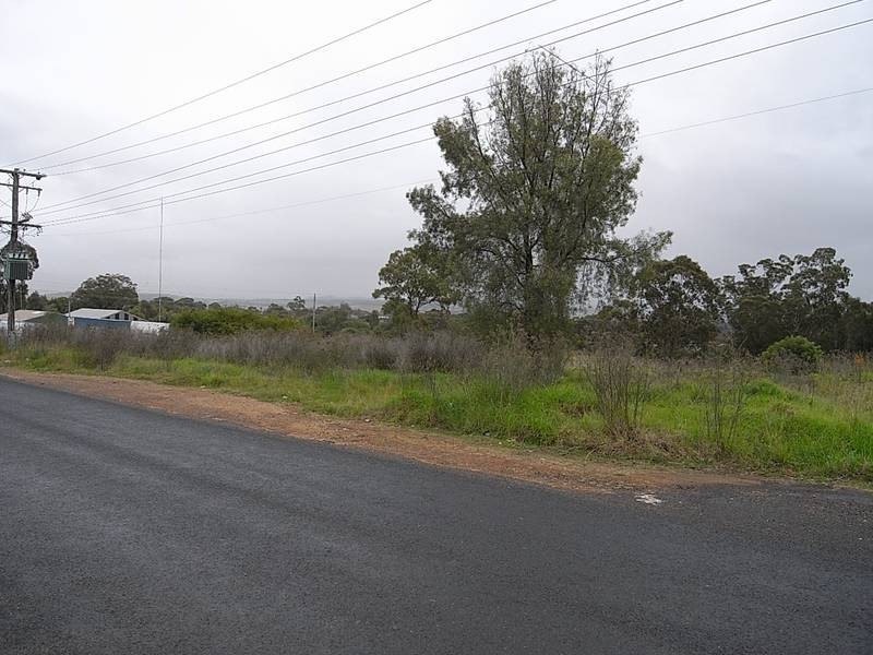 Lot 10,  Common Road, Muswellbrook NSW 2333