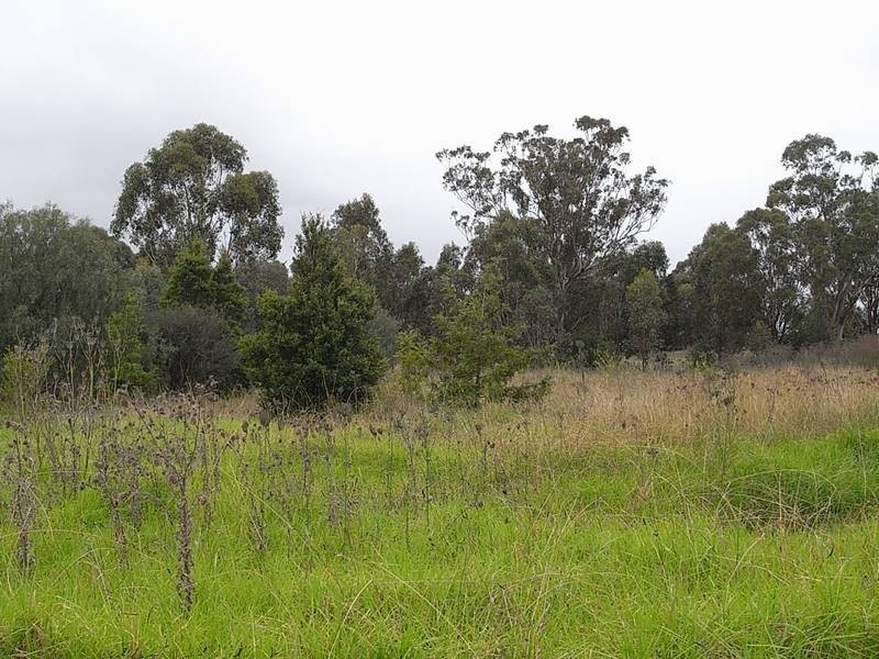 Lot 10,  Common Road, Muswellbrook NSW 2333