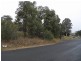 Lot 11,  Common Road, Muswellbrook NSW 2333