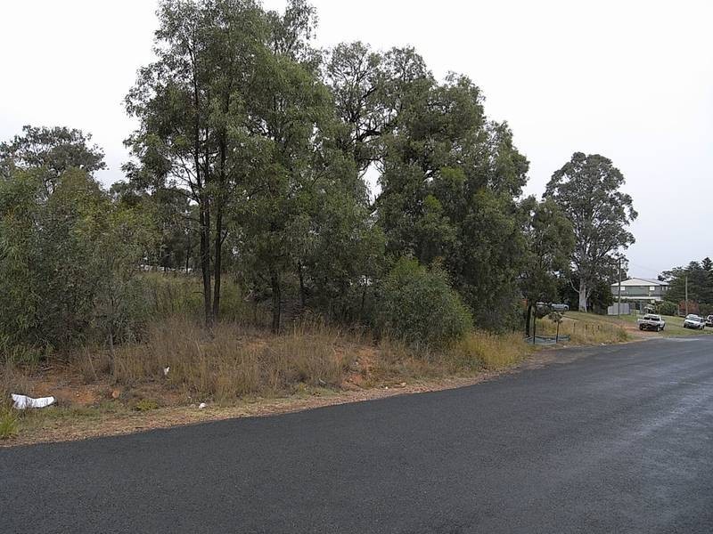 Lot 11,  Common Road, Muswellbrook NSW 2333