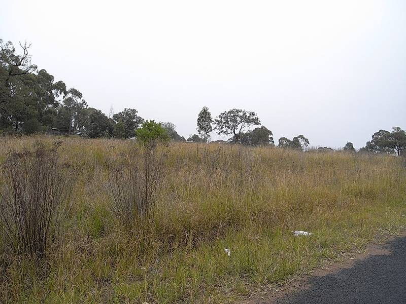 Lot 17,  Common Road, Muswellbrook NSW 2333