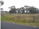 Lot 19,  Common Road, Muswellbrook NSW 2333