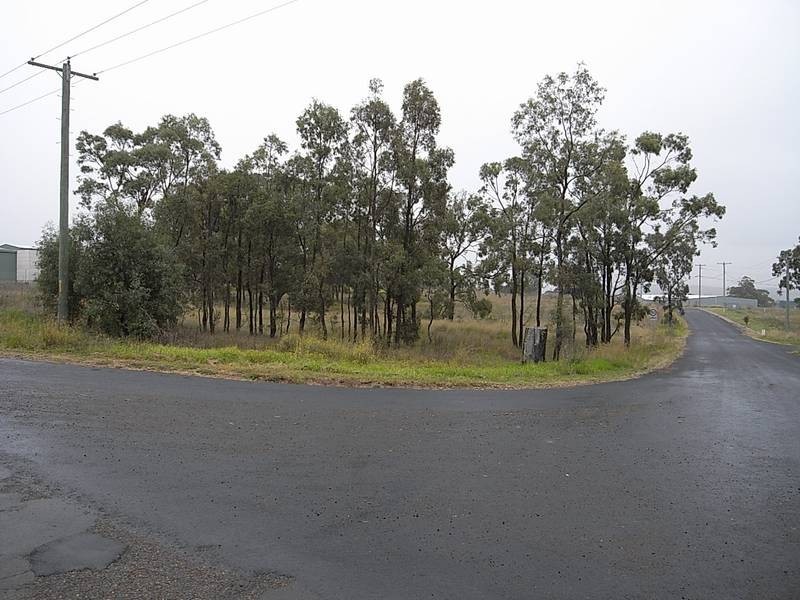 Lot 19,  Common Road, Muswellbrook NSW 2333