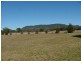 2530 Wybong Road, Muswellbrook NSW 2333