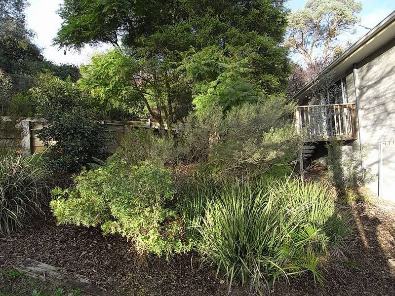 80 William Street, Muswellbrook NSW 2333