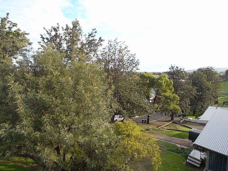 80 William Street, Muswellbrook NSW 2333