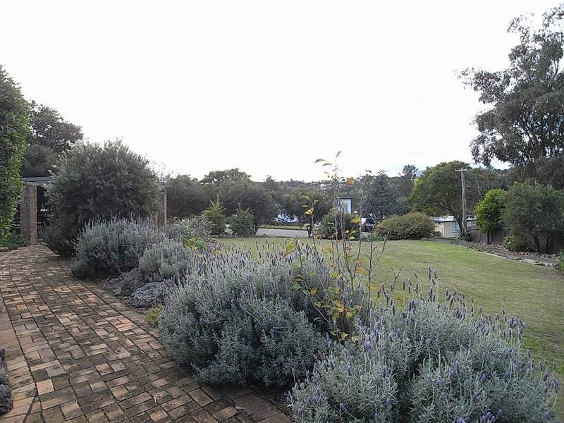 2-4 Shaw Cresent, Muswellbrook NSW 2333