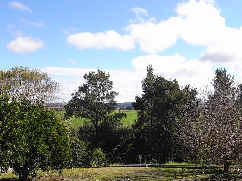 39 Aberdeen Street, Muswellbrook NSW 2333