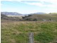 1661 Sandy Creek Road, Mccullys Gap NSW 2333