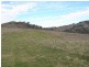 1661 Sandy Creek Road, Mccullys Gap NSW 2333