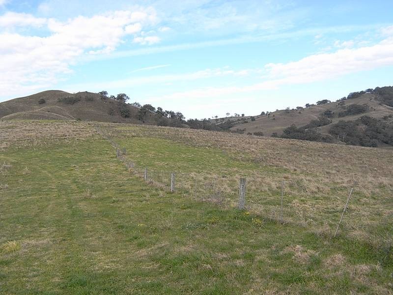 1661 Sandy Creek Road, Mccullys Gap NSW 2333