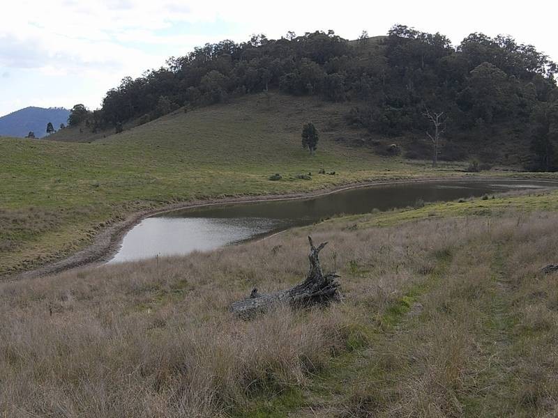 1661 Sandy Creek Road, Mccullys Gap NSW 2333