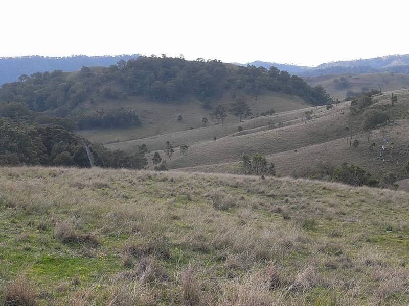 1661 Sandy Creek Road, Mccullys Gap NSW 2333
