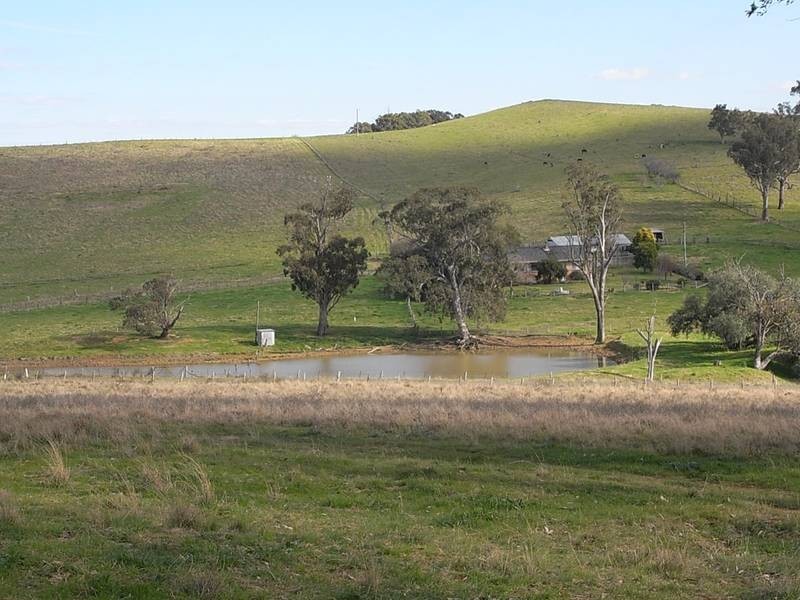 1661 Sandy Creek Road, Mccullys Gap NSW 2333