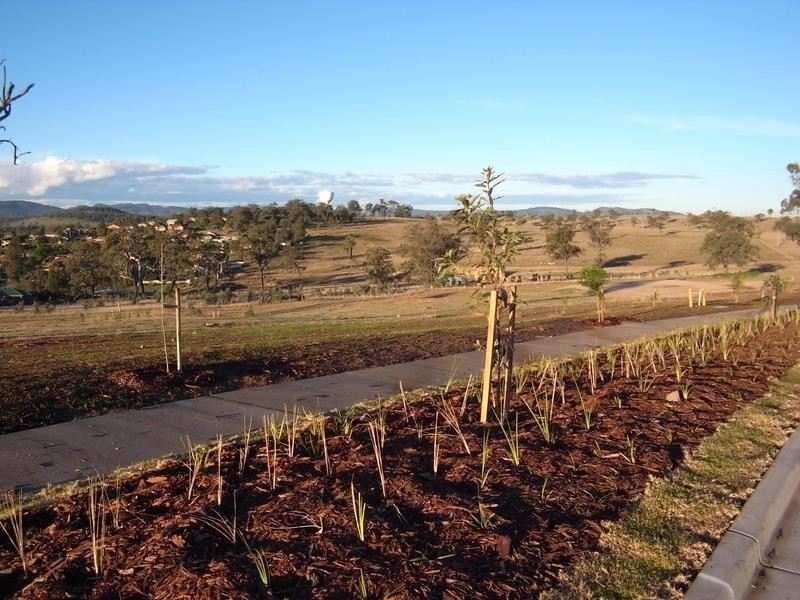 Muswellbrook NSW 2333