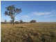 Muswellbrook NSW 2333