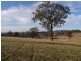 Muswellbrook NSW 2333