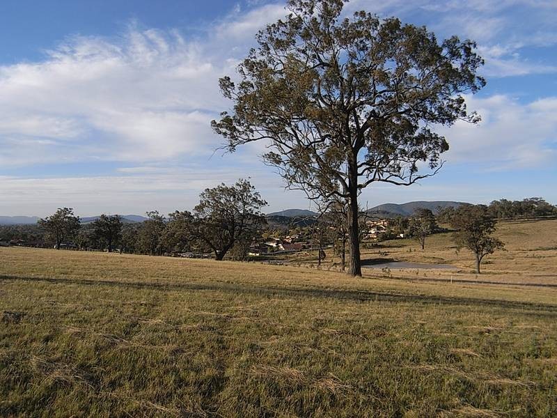 Muswellbrook NSW 2333