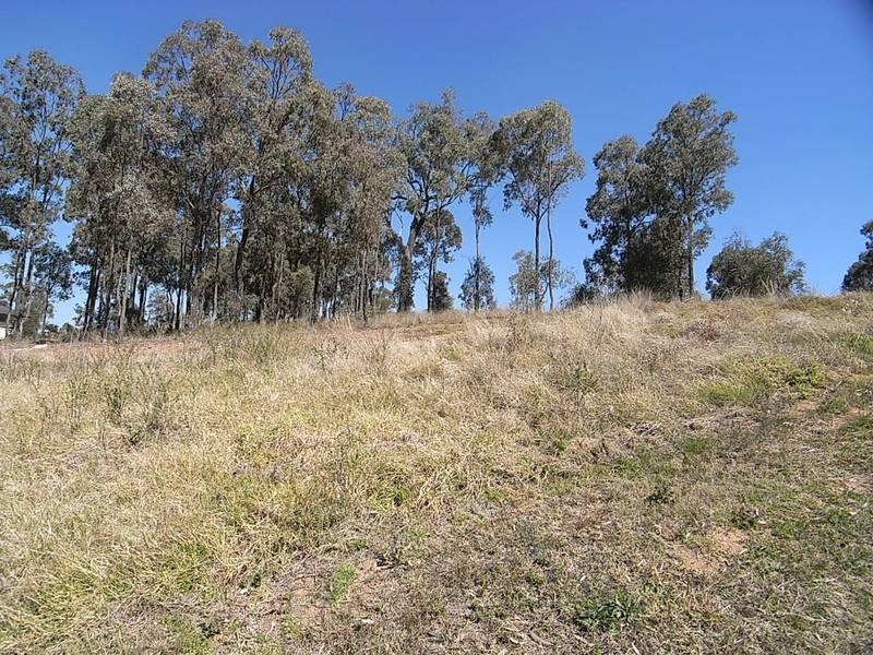 37 Lou Fisher Place, Muswellbrook NSW 2333