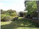 42 Perth Street, Aberdeen NSW 2336