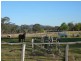 380 Muscle Creek Road, Muscle Creek NSW 2333