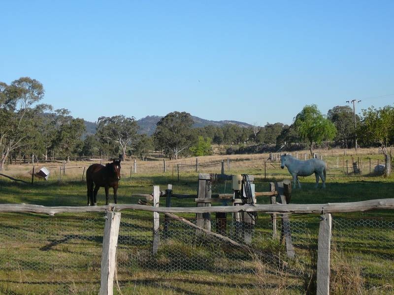 380 Muscle Creek Road, Muscle Creek NSW 2333
