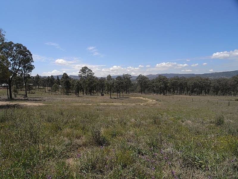 Lot 311,  Woodland Ridge Estate, Muswellbrook NSW 2333
