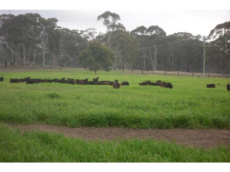 317 Rosemount Road, Denman NSW 2328