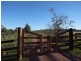 317 Rosemount Road, Denman NSW 2328